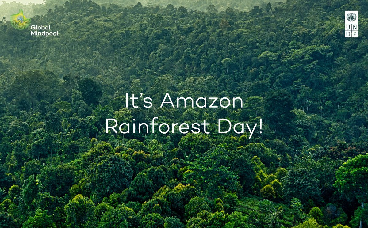 Global Mindpool tweet media