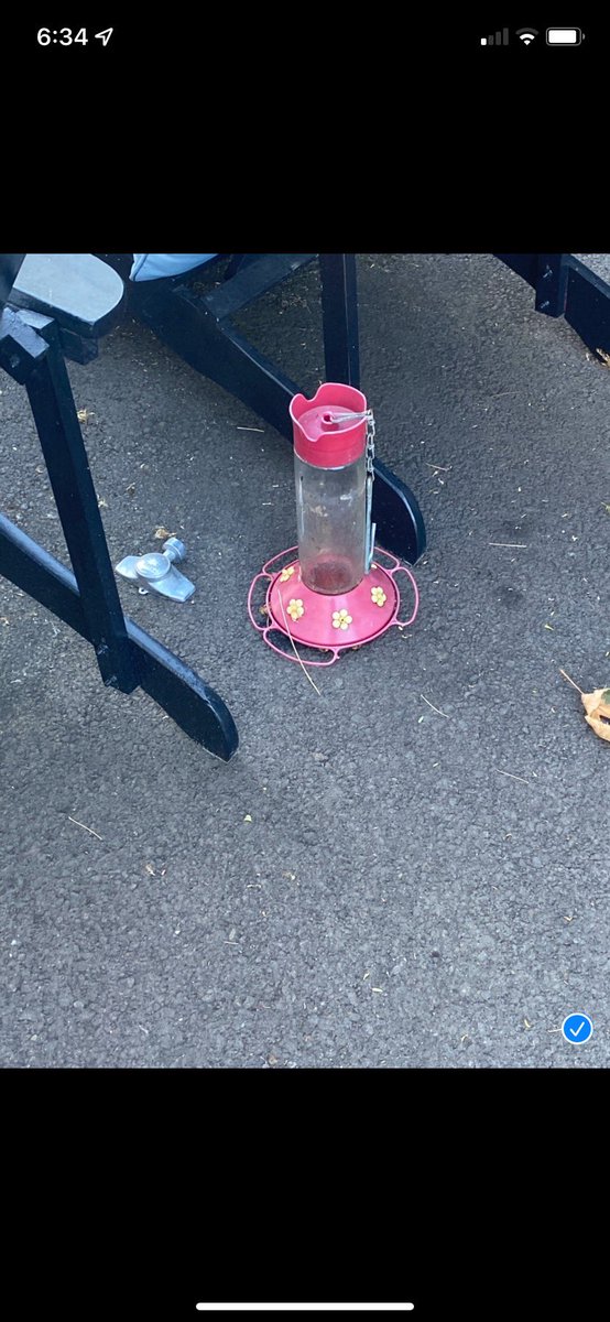 IanRapoportLOD's tweet photo. We can confirm a bee trap has been set in the driveway, but many are wondering what will be done to prevent bees near the draft board #Gunz #Epipen https://t.co/zH9Qk0adq2
