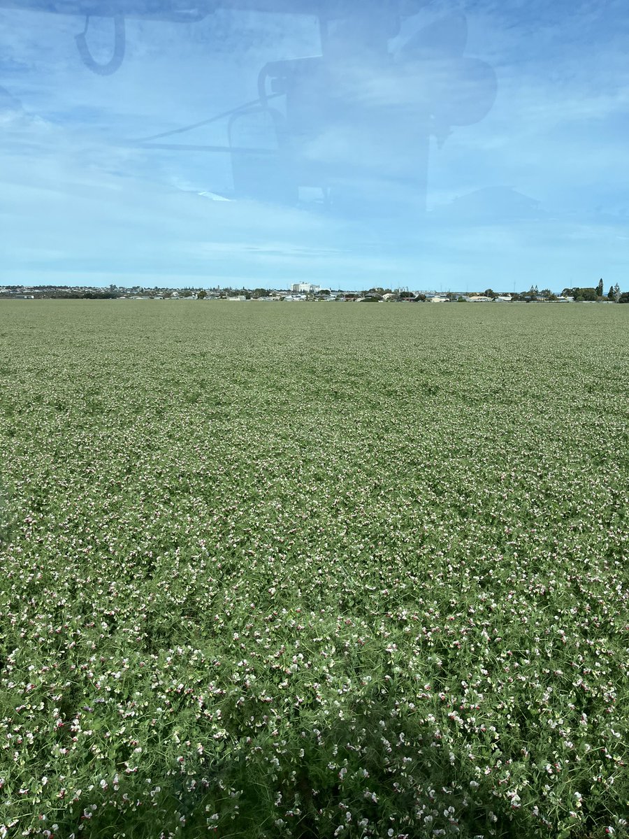 Stephen Paddick tweet media