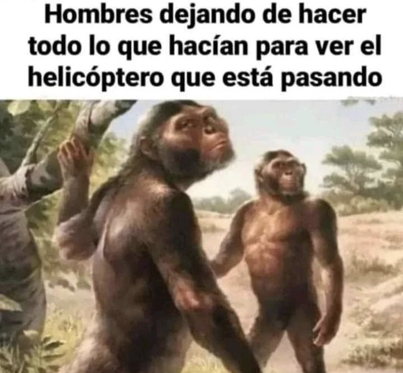Andrés (@abrenesu_) on Twitter photo 