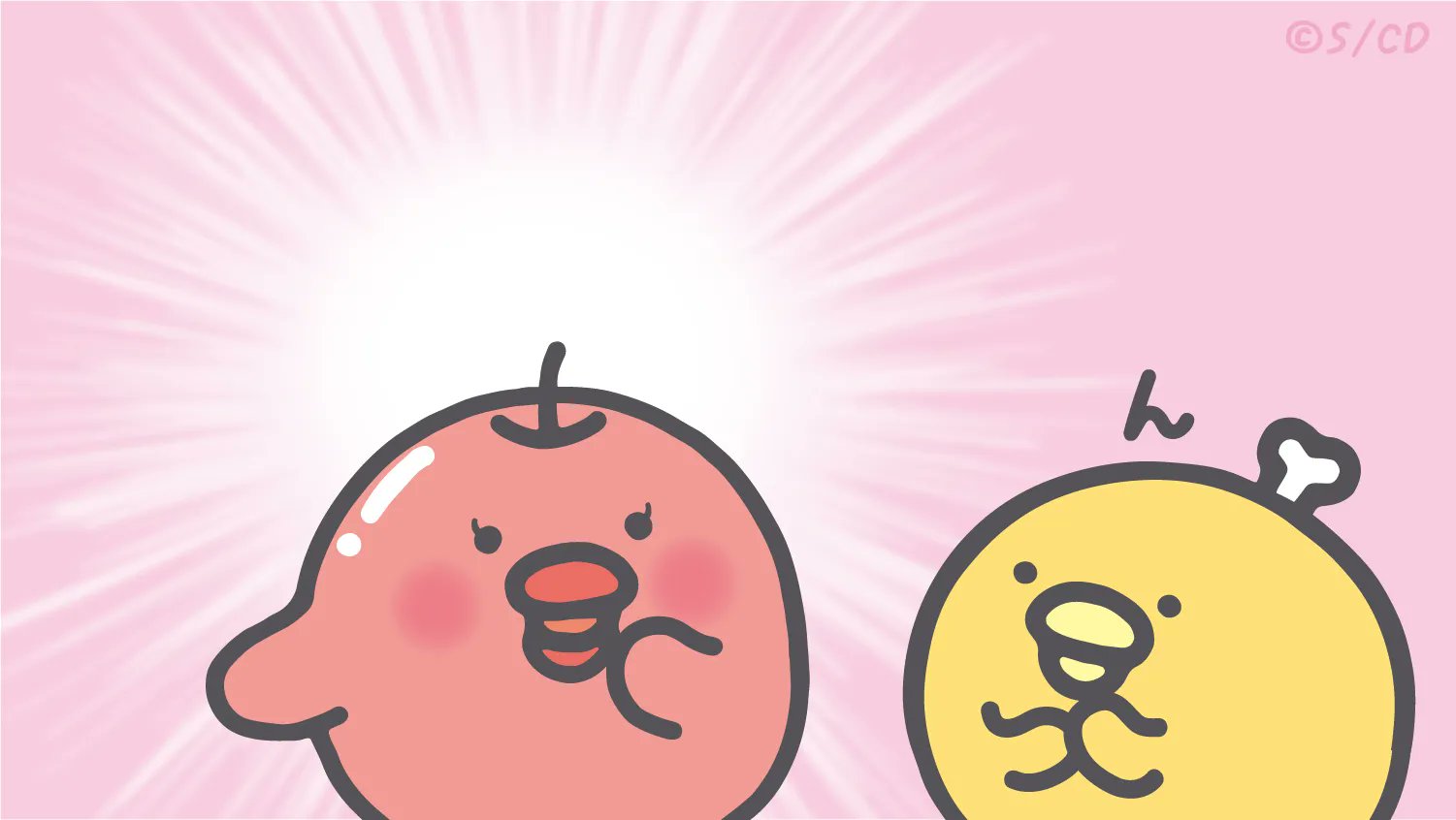 チキップダンサーズ【公式】 on X: 