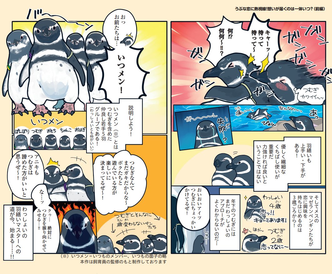 「下町ペンギン物語」遂に今週の水曜日発売!ソワ

一話をまるっと載せちゃいます! 