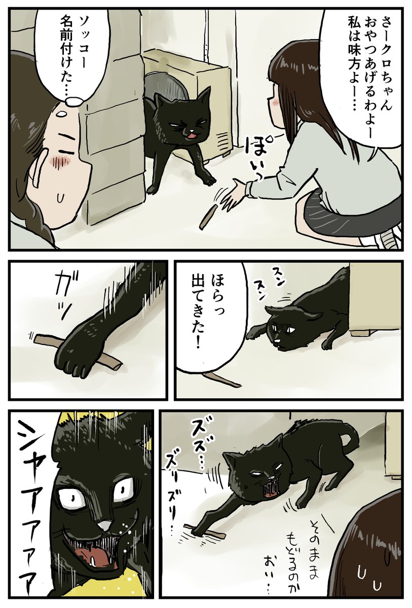前向きなしなの
#しなのんちのいくる 
