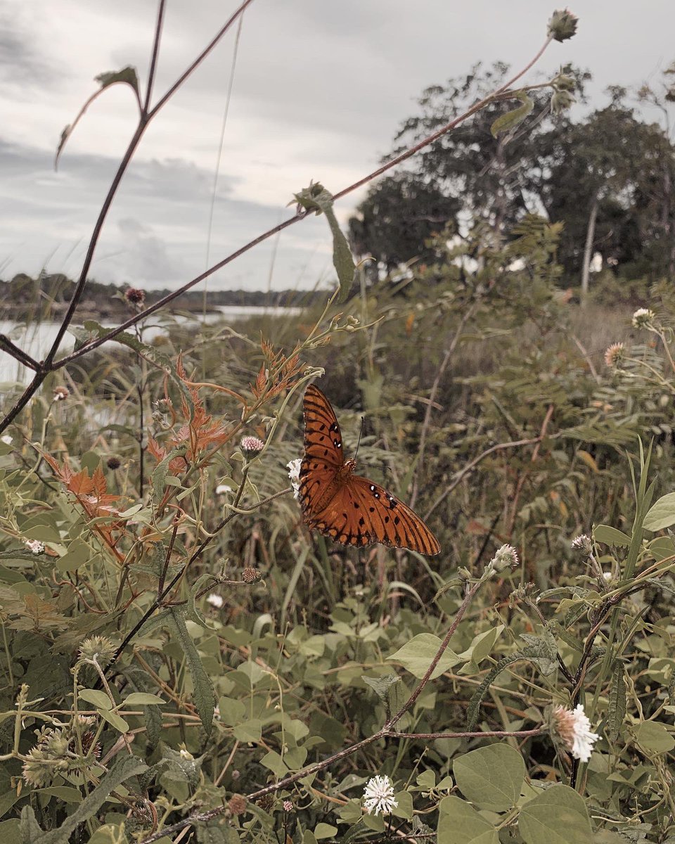 ivory♡ tweet media