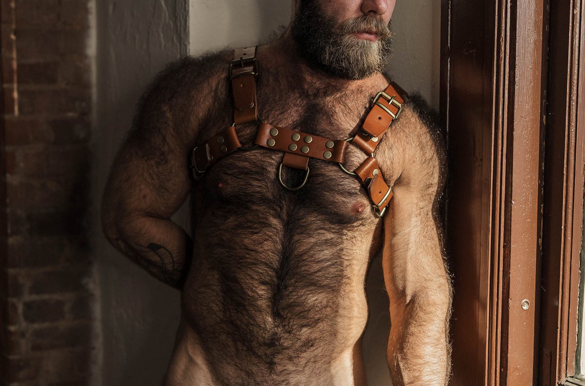 BearBrosXXX's tweet photo. One of my favorite #Leather harness to wear (especially while Im #FuckingMen)
https://t.co/3vTfwbFag5 https://t.co/qjA5n4s8Um