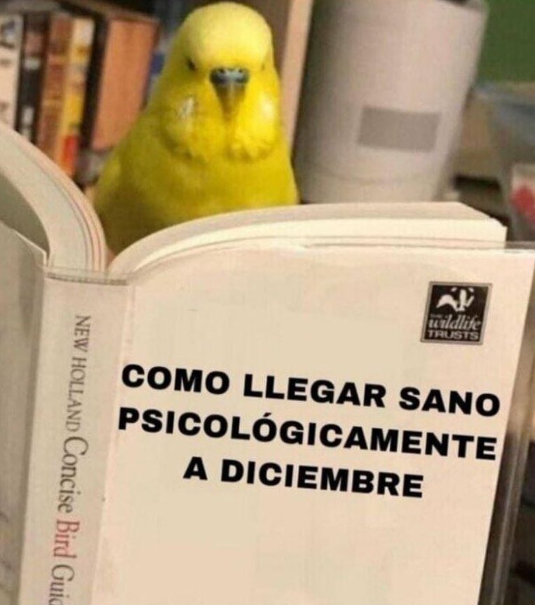 MemesDeSpain's tweet photo. Mood https://t.co/PbDiRM4WdN