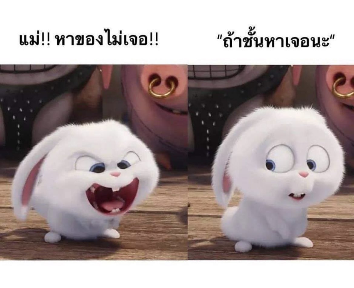 ช่างแม่ง🐰🏳️‍🌈 tweet media