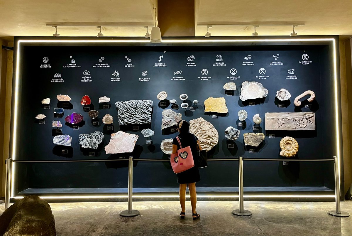 PuebleandoYuc's tweet photo. Hoy he pasado un rato agradable en el museo del meteorito en Progreso. Esta muy bien presentado y hay un guía que te lleva de la mano en la historia del gran impacto y desaparición de los dinosaurios 🦕 https://t.co/f3XuiFoPdV