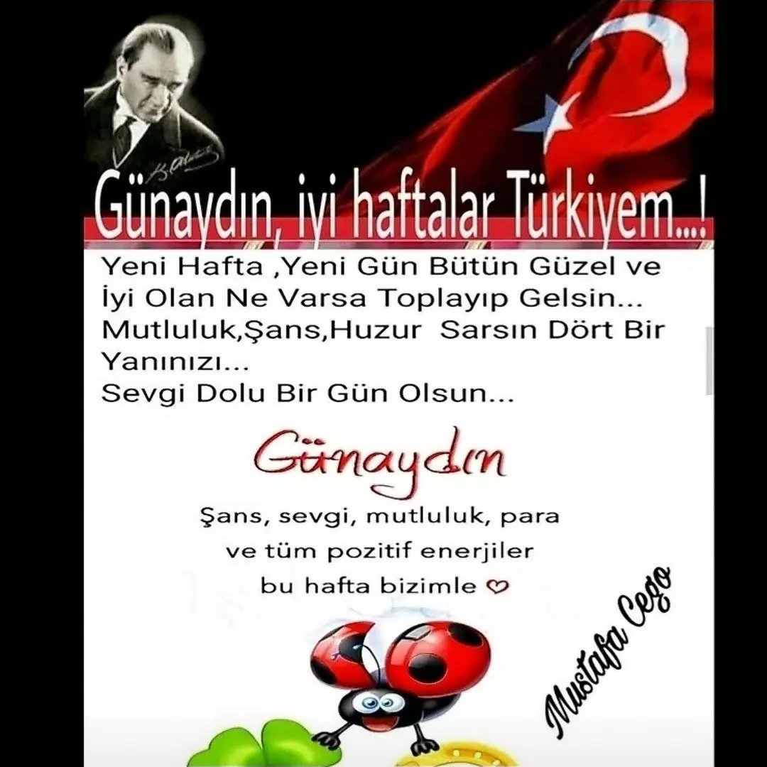 MustafaCego2's tweet image. 