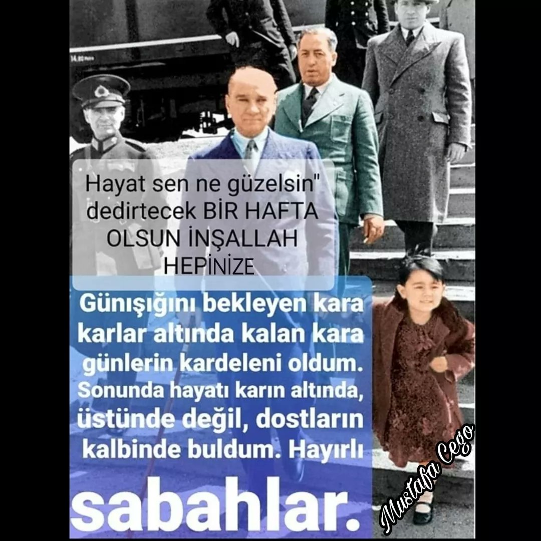 MustafaCego2's tweet image. 