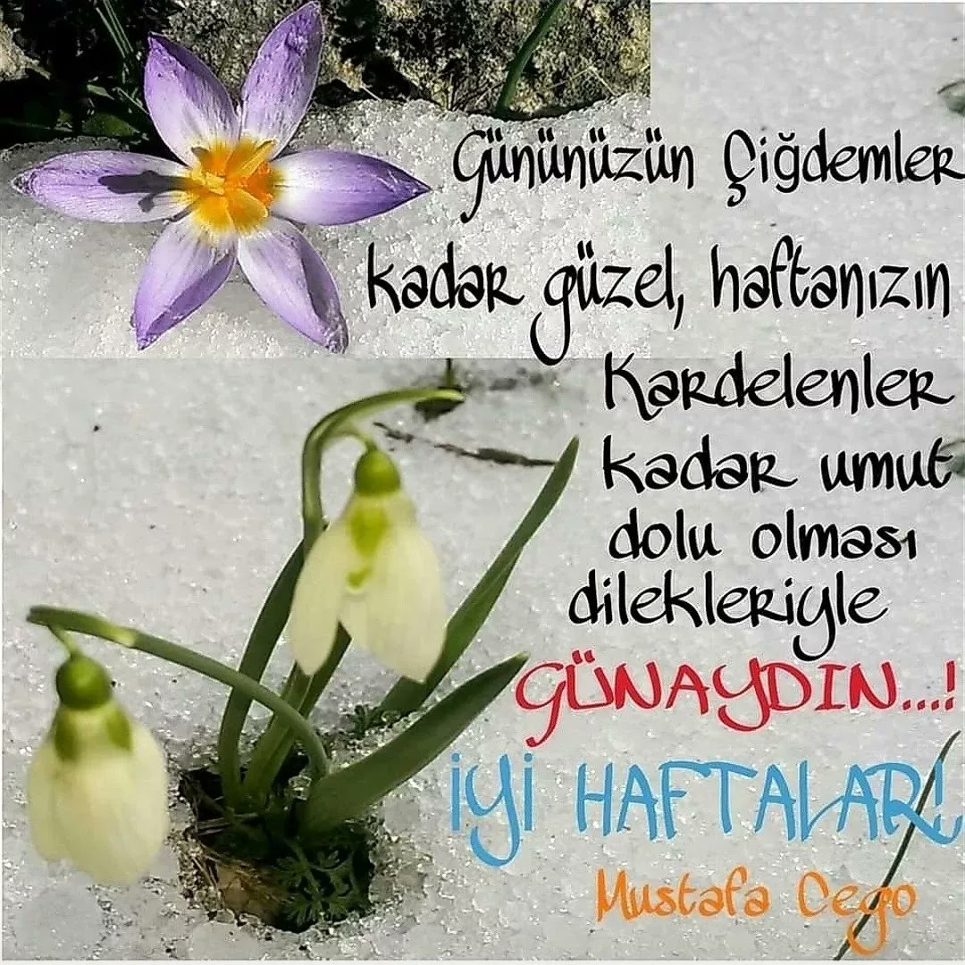 MustafaCego2's tweet image. 