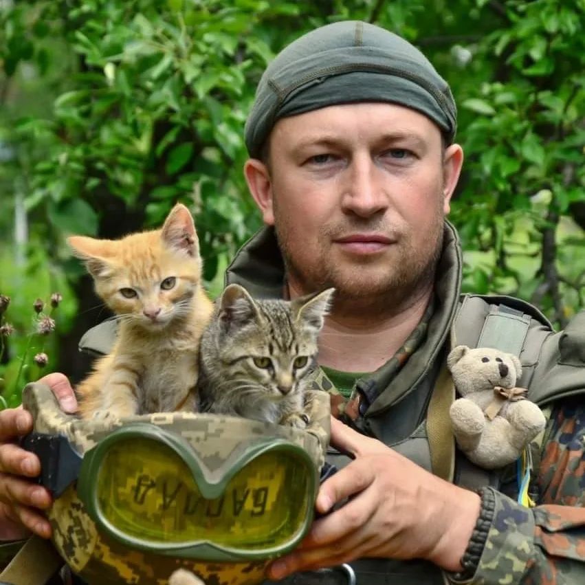 Feline Defence Force 🇺🇦 tweet media