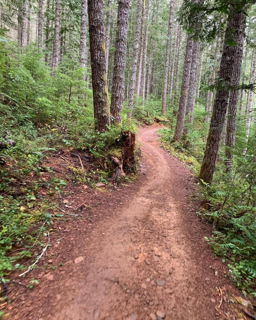 muddylaces's tweet image. Cumberland, you ain’t half bad! Great day on the trails today avoiding the enduro course cuz someone didn’t sign up before it sold out.  #mtbvi #mountainbiking #bikesarefun #cumberland instagr.am/p/CiHAZifPE52/