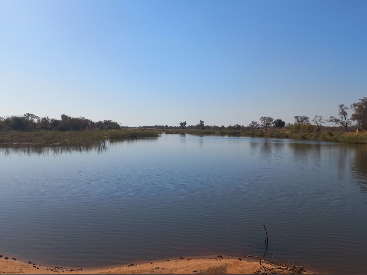 RiaanBezuiden11's tweet image. Mogol
#Ellisras