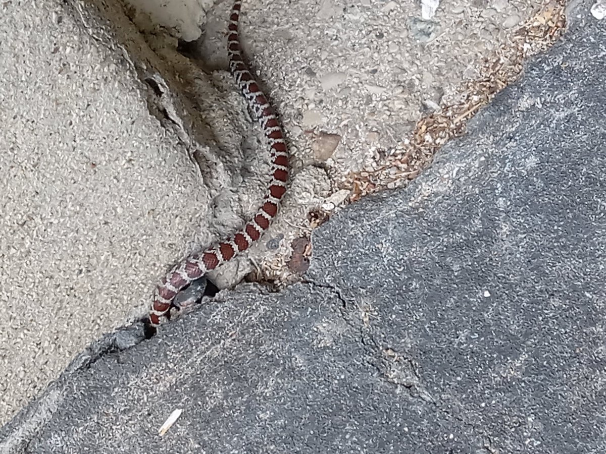 FAMSTRONG2021's tweet image. And with that my crew is off to Indiana tomorrow for a few weeks work. Be good Clermont County Fam