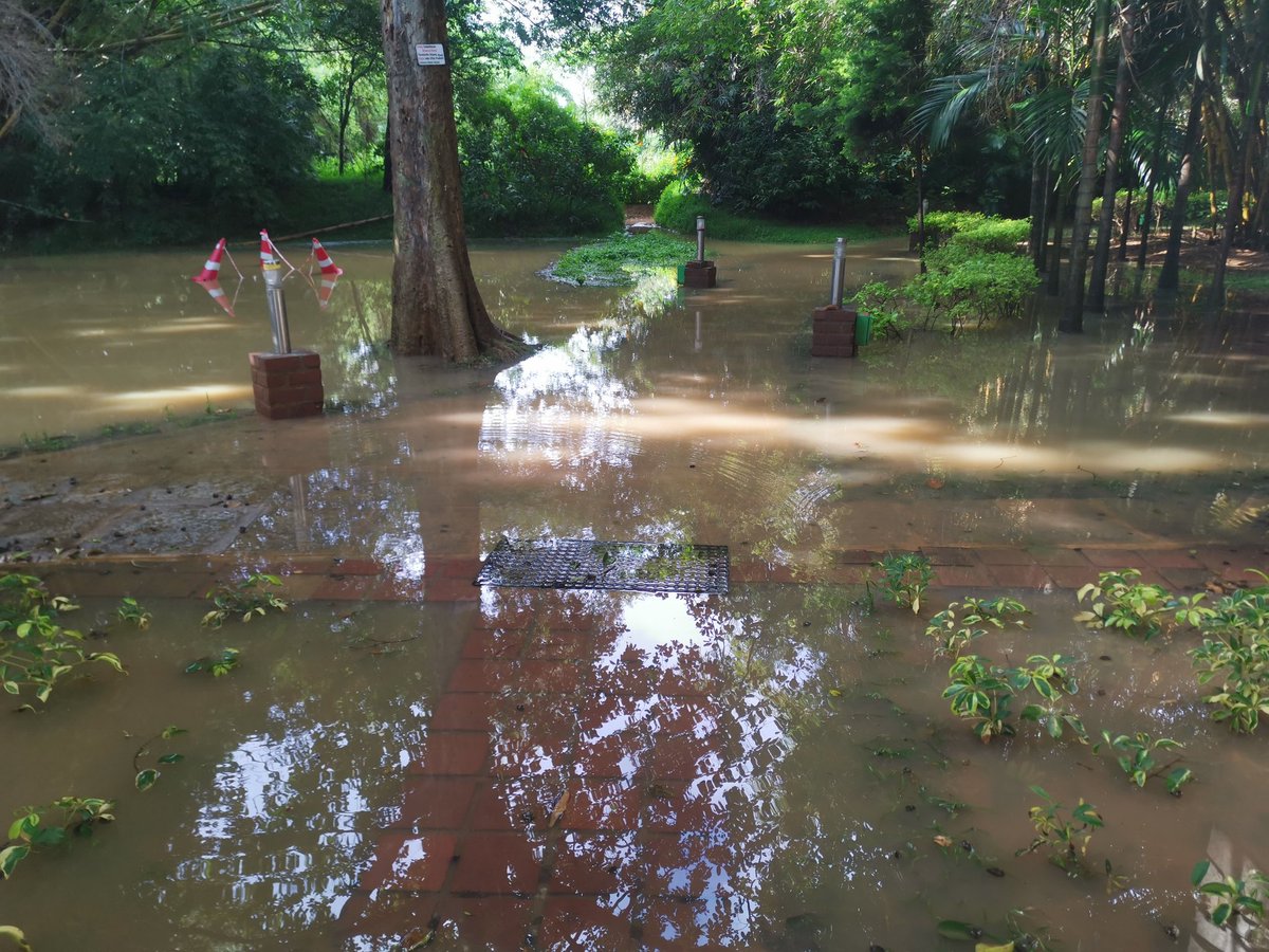 If a Premier institute suffers from frequent floods, I wonder the plight of other institutes #bengaluru #rain #Rains #karnataka <a href="/BbmpchdTeam/">CITIZEN HELP DESK - Bengaluru</a> #BBMP #bbmpc <a href="/PMOIndia/">PMO India</a>