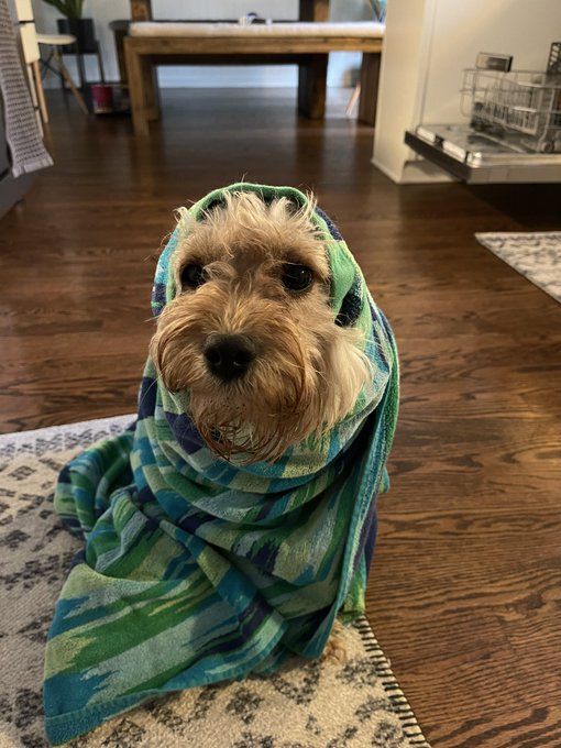 Watch Neal 🎮's leaked NSFW photo on TwXstars