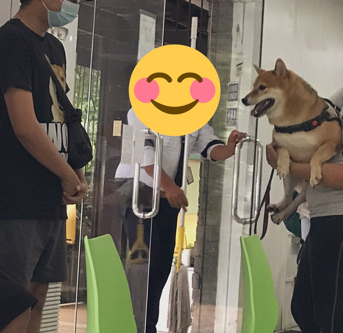 Lady_Bedspacer's tweet image. #dogmerch