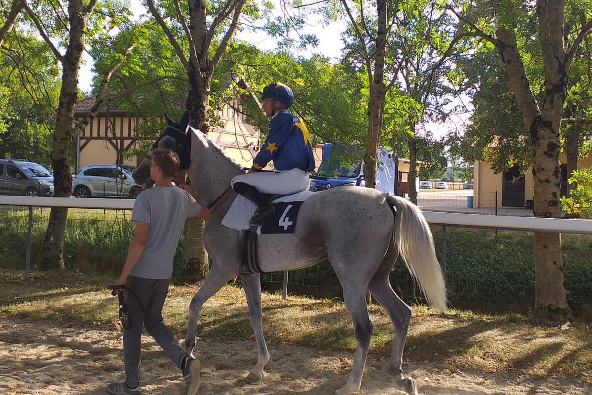 lefebvrefabien1's tweet image. Sunday 🌟100%🌟
Montier en der🇫🇷

- 🥉#LavircaDodville🐎
- 🥉#Miniking🐎
- 🥉#WinnerDream🐎
- 🥉#MareNostro🐎
- 🥉#BonEsprit🐎
- 4th #EasterDream🐎