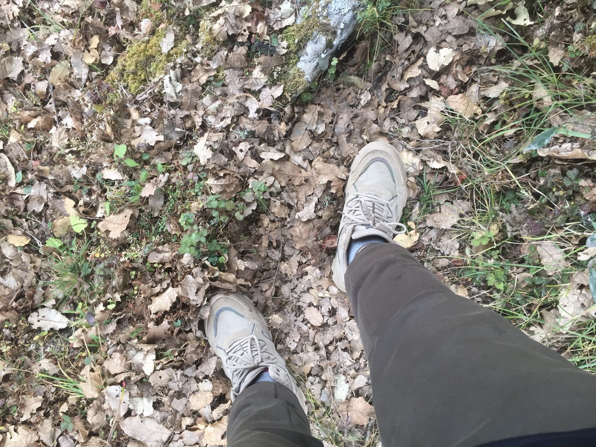 This fall, why not try something different and go hiking?

Check out these five benefits of hiking this fall and see for yourself why it's such a great way to spend your time outdoors!

To learn more, click here: bit.ly/3AQg52B

#hiking #outdoor #hiker