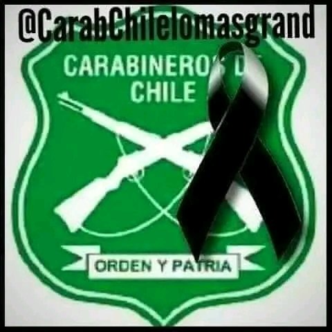 MUCHAS GRACIAS CARABINEROS DE CHILE, POR SU HERÓICA DEFENSA DE NUESTRA DEMOCRACIA. DIOS GUARDE A SUS MÁRTIRES. Q.E.P.D.🙏🇨🇱🇨🇱👍👍 Pinochet, Atria, Loncon, Baradit, Stingo, Mr Wolf, Bachelet, Tellier, Bío Bío, Cariola, Fontaine, Kast, Bío Bío #PlebiscitoChile #RechazoConFuerza RT