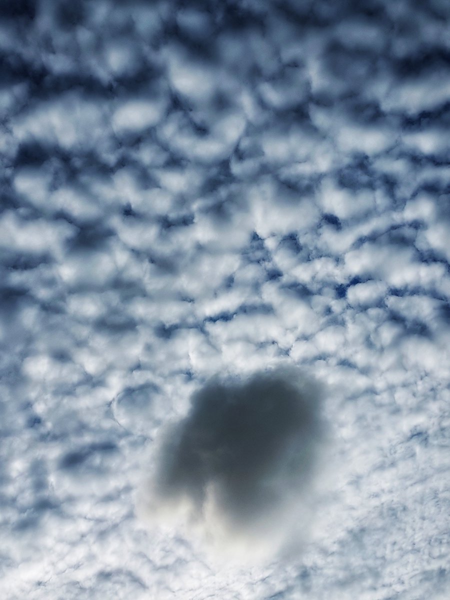 ckckforeskin's tweet photo. lonely cloud 

#台南 #台湾
©️skinskin https://t.co/CBsthore3W