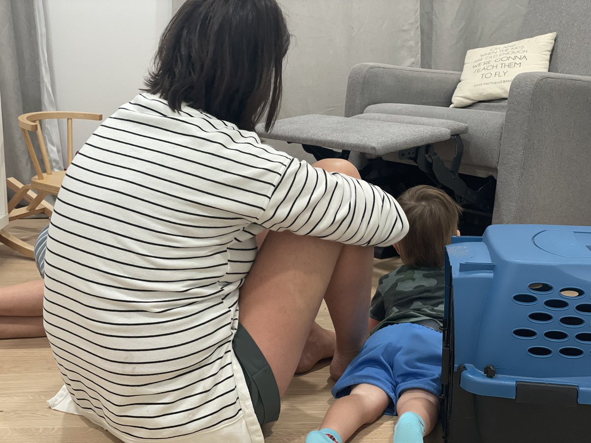 chip_setzer's tweet image. How my day as a new kitten dad has gone in two photos - 1st phot noon, 2nd 8:30pm he never left chair 🤦‍♂️ Hoping tomorrow is a better day for the newest addition Nederland VanGough #Kitten #Roughstart