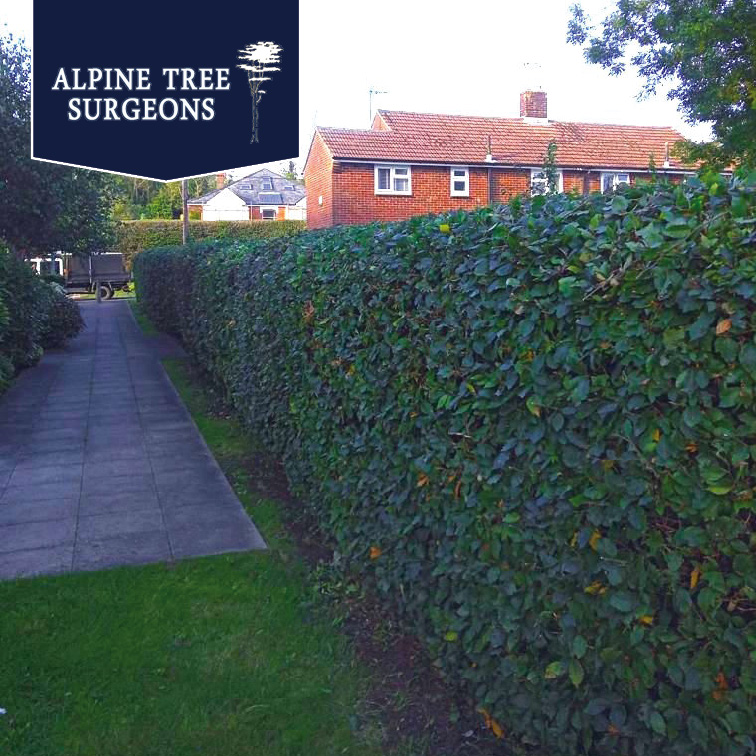 The Directory Group tweet media