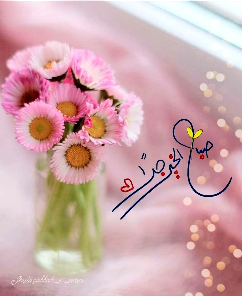 والصبح إذا تنفس ﴾
-اللهم صباحٌ مُبشر وخيرات لا تزول-
#صباح_الخير ♥🍃
