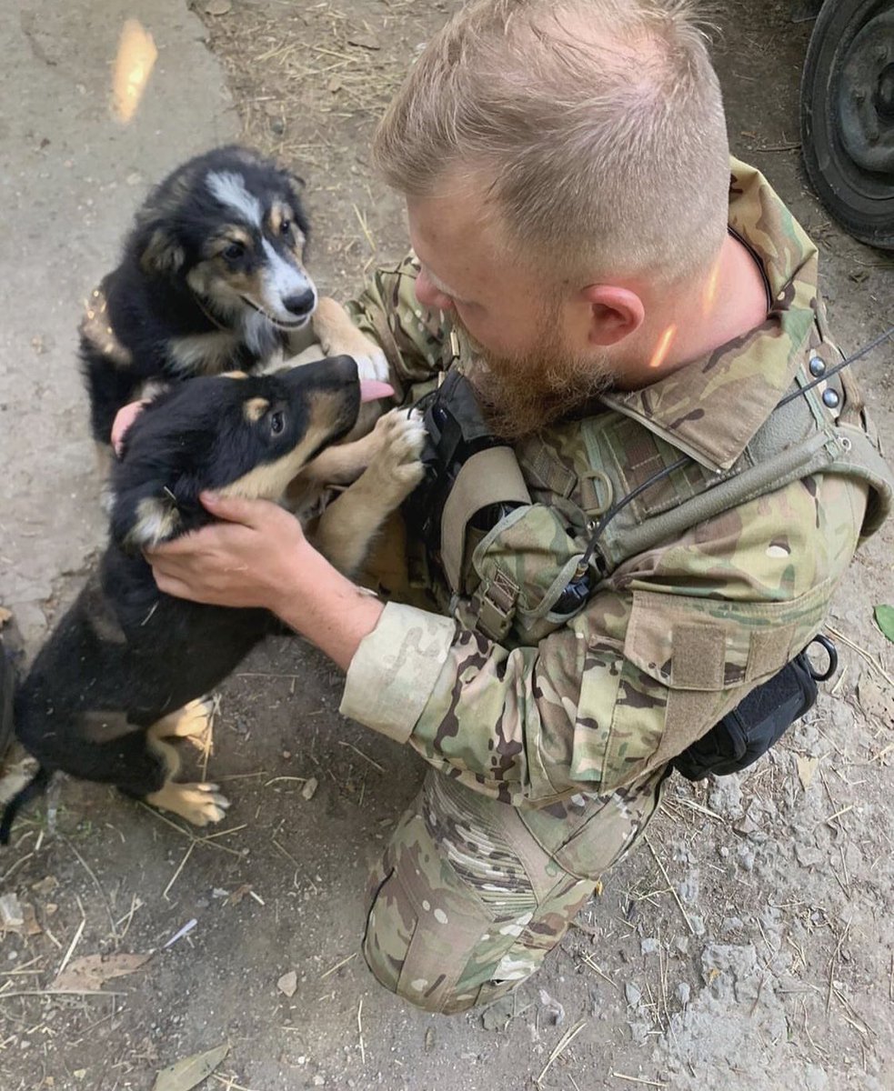 UAarmy_animals's tweet image. 😇😇😇