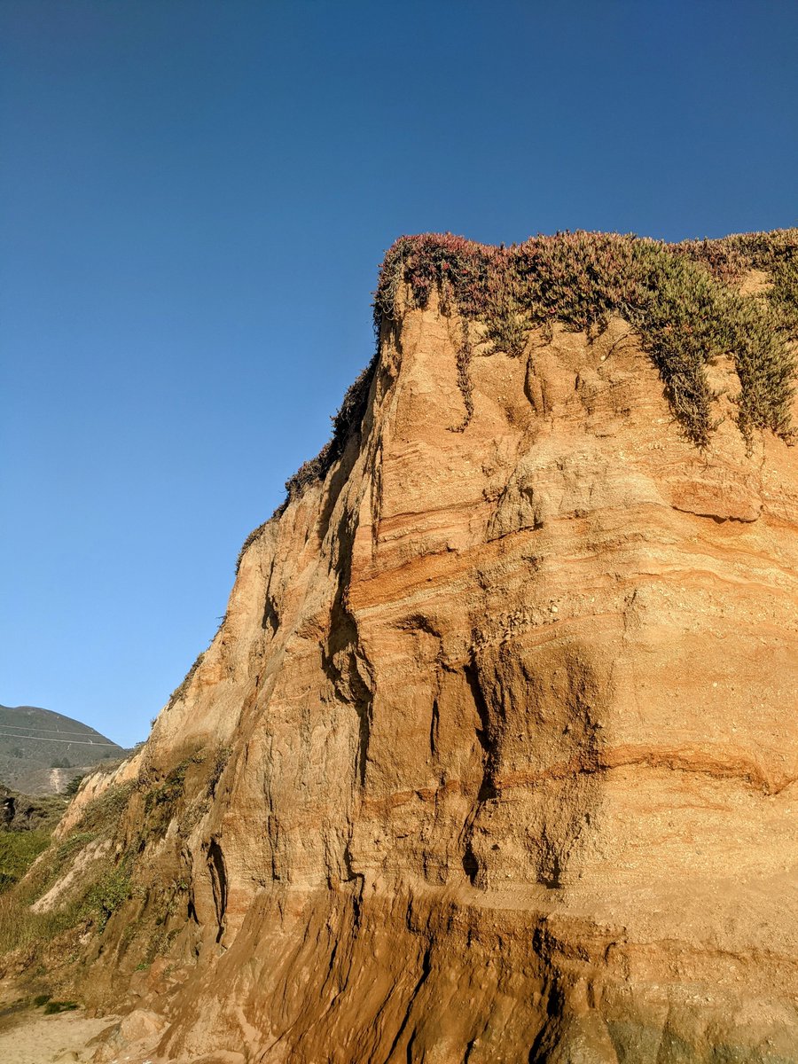 lotusfairies (@lotusfairies) on Twitter photo 