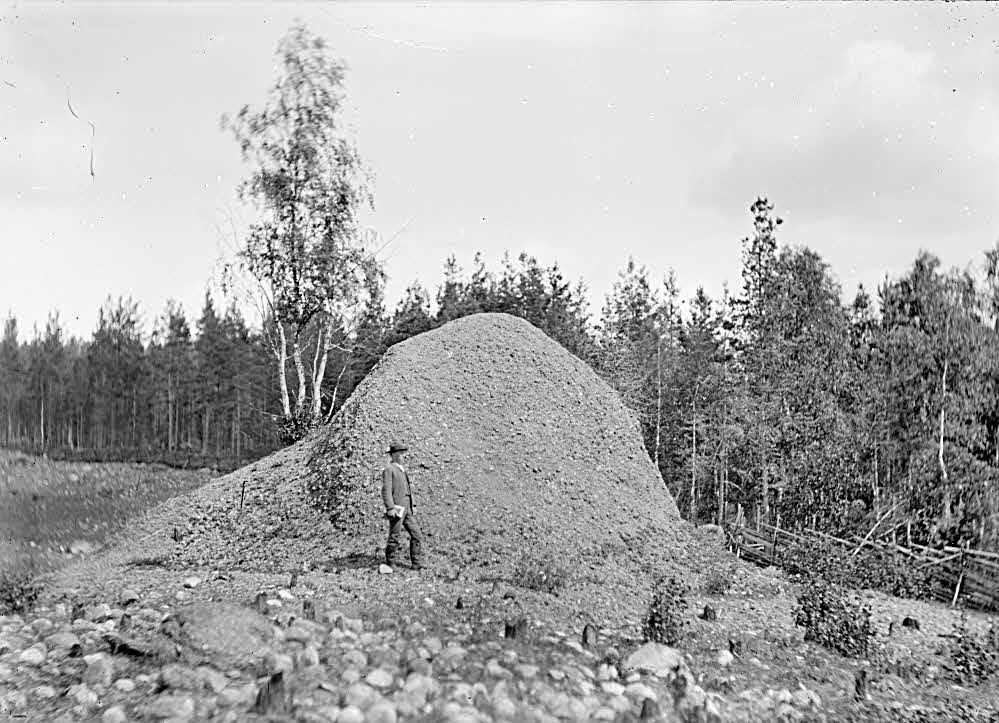 GeoPhotoBot tweet media