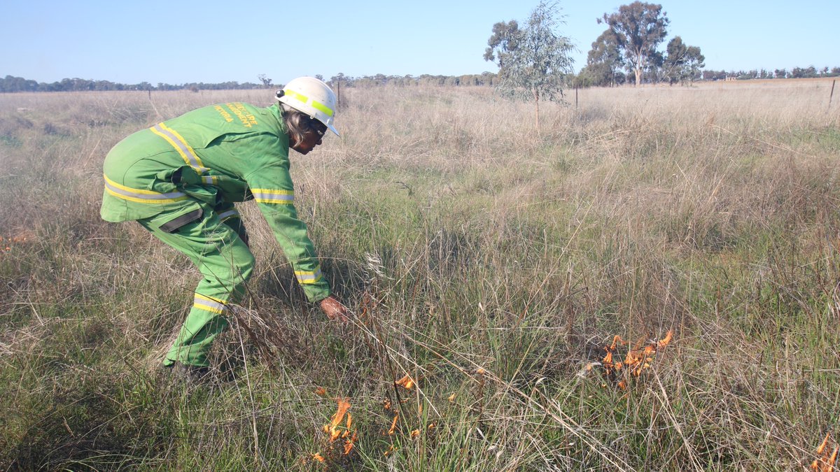 FFMVic's tweet photo. Our crews are supporting Djaara with #CulturalBurning in #TangTangSwamp, 4km east of Dingee tomorrow, 6 September. People in surrounding areas may see smoke from this 21ha burn. More info at: https://t.co/ag3nlsm9EM #FFMVic https://t.co/TkPJ2xqorr