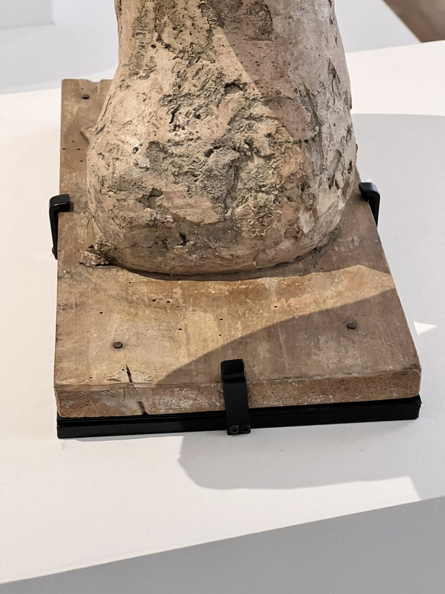 羅展鵬 Lo Chan Peng tweet media