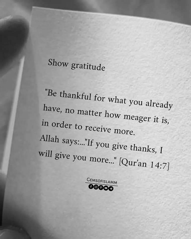 ▪︎》Secrets Of An Accepted Du'a ❤✨

▪︎》Beautiful Reminder 📌 https://t.co/vteDYNGLCK