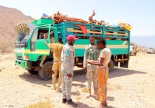 RadioMuqdisho's tweet photo. The Security Forces of Somalia’s #Puntland State, have captured members of #Alshabab terrorists who facilitate the supplies to the group and the vehicle they were using in operation at #Almadow mountains.
#Somalia https://t.co/JPLEe38NXb
