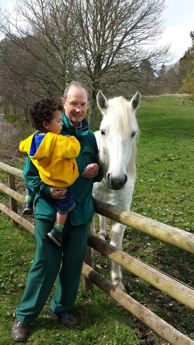 Karen Tulloch tweet media