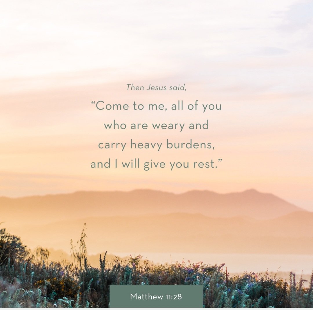 KgosigadiD's tweet photo. #speaklifeseptember2022 🌸
#Proverbs5 https://t.co/L1Zh5cujgF