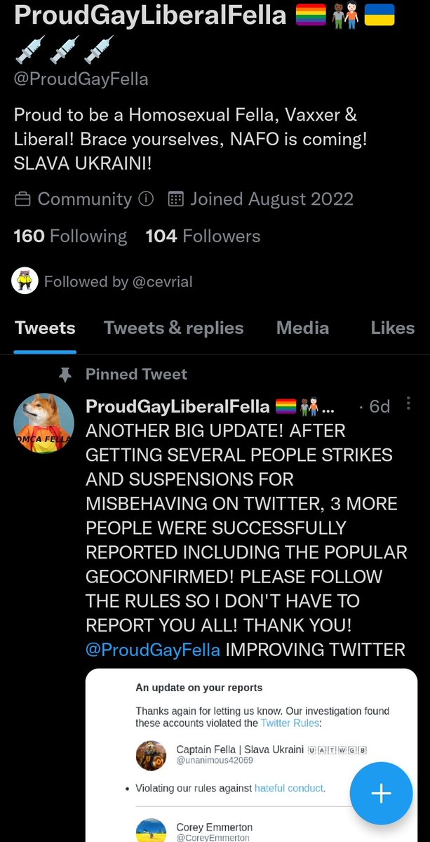 NoticiasRefuta1's tweet photo. @_Dashenka_ There are a few! It's their latest pathetic effort. For example, this fake account wants to follow you and then report you. Not sure if that helps with the report. Of course they use words as gay or homosexual as a way making fun of people because we accept all fellas. https://t.co/vQjOQR1DL9