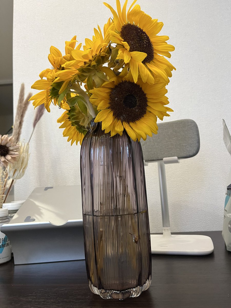 breakfast with sunflower