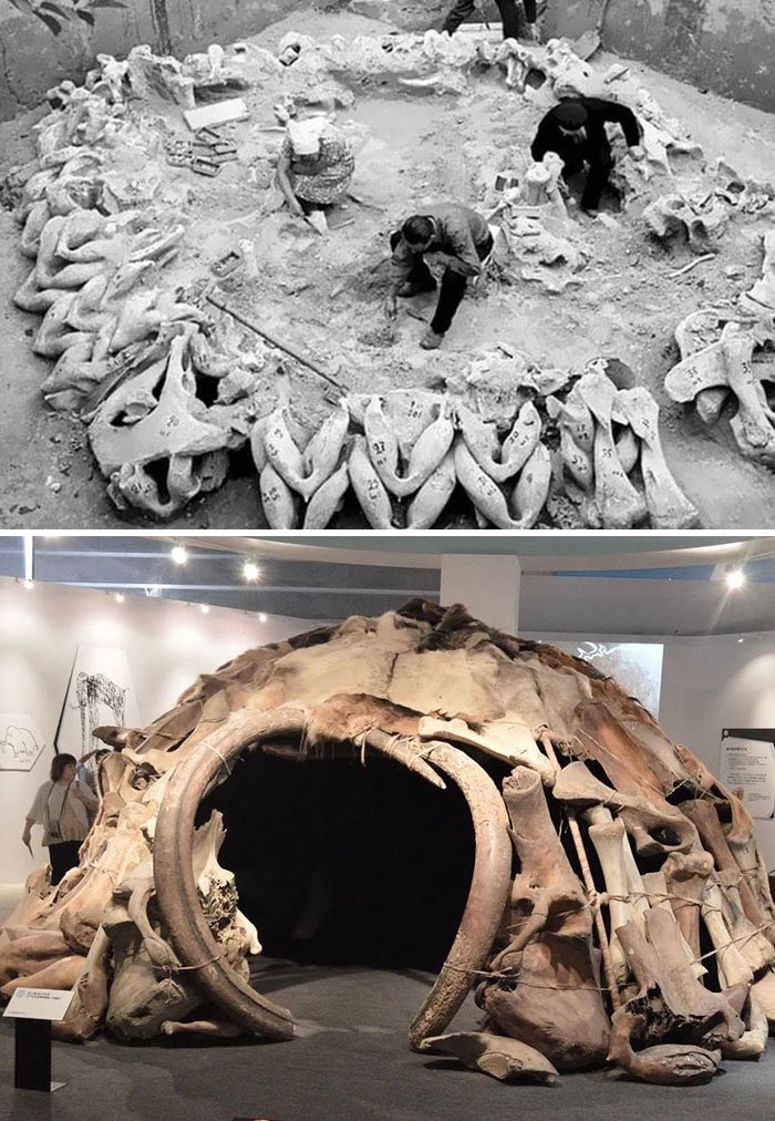asimighty's tweet photo. #Hut made of #mammoth #bones, Cro-Magnon, #Mezhirich, #Ukraine,
15,000 B.C https://t.co/YVW0616ZkP