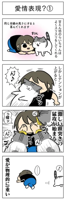 愛情表現?①②│フェリシモ猫部 https://t.co/TiN2Gepre4 