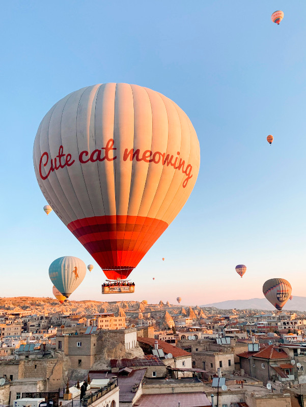 People have inertia, but cute cats don't. Cute cats have always treated cute cats with a persistent attitude. A lot of things that don't seem promising right now, but that's what often explodes. We will all be the best cats ever!
#CuteCat #NFTGiveaway #OpenSeaNFT #NFT #NFTs