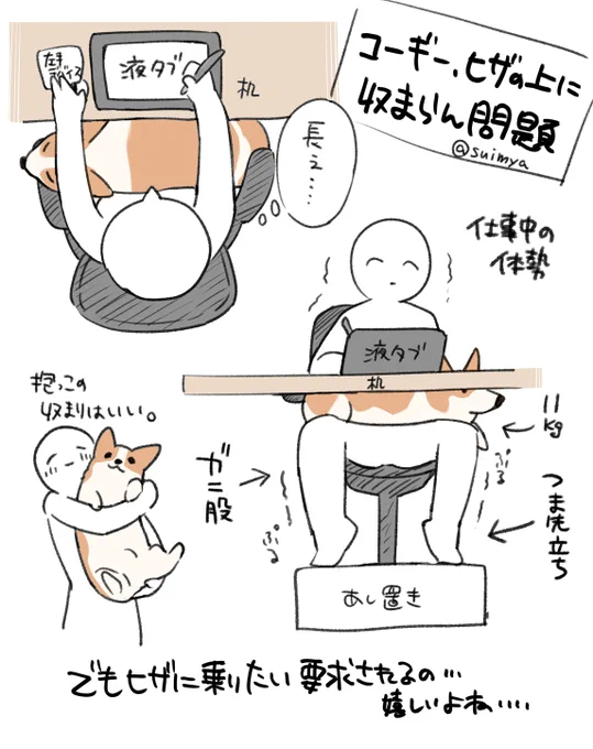 コーギーは胴長なので膝に乗せて仕事するときはこちらもそれなりの努力が必要 