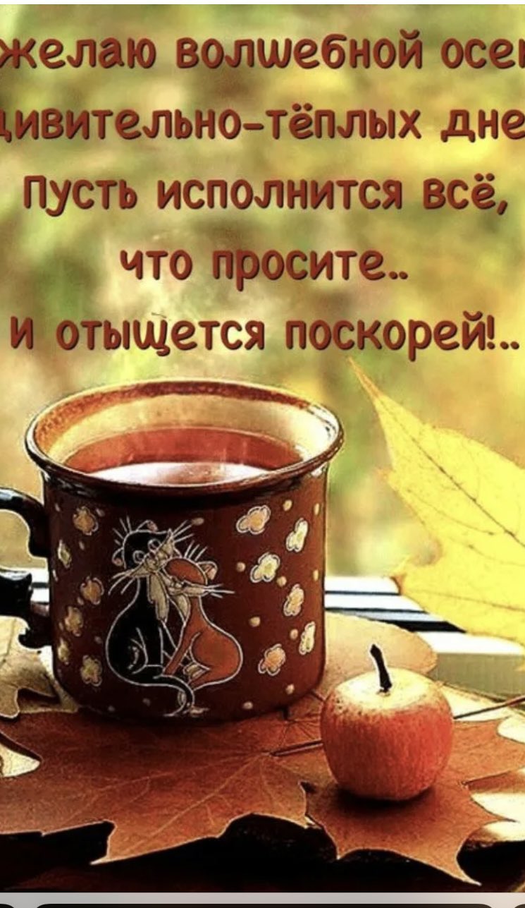 С добрым осенним утром мужчине