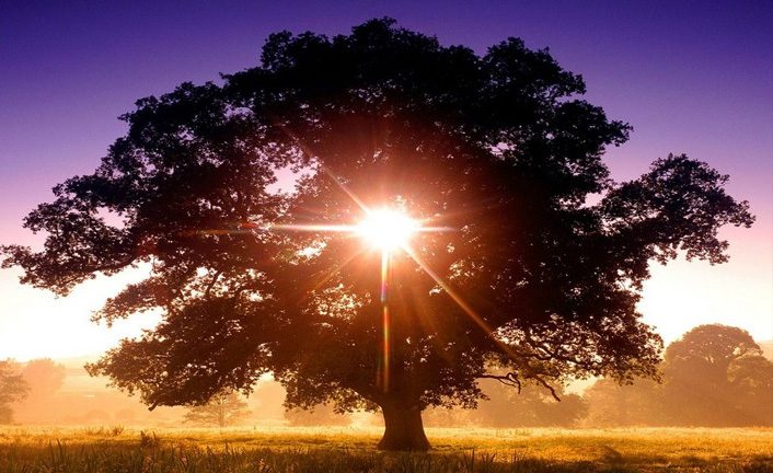 “You don’t need a New Year to make a change. All you need is a Monday.” Morning🙂
#NFTartist 
#nftphotography 📸🏕️🥀☕️