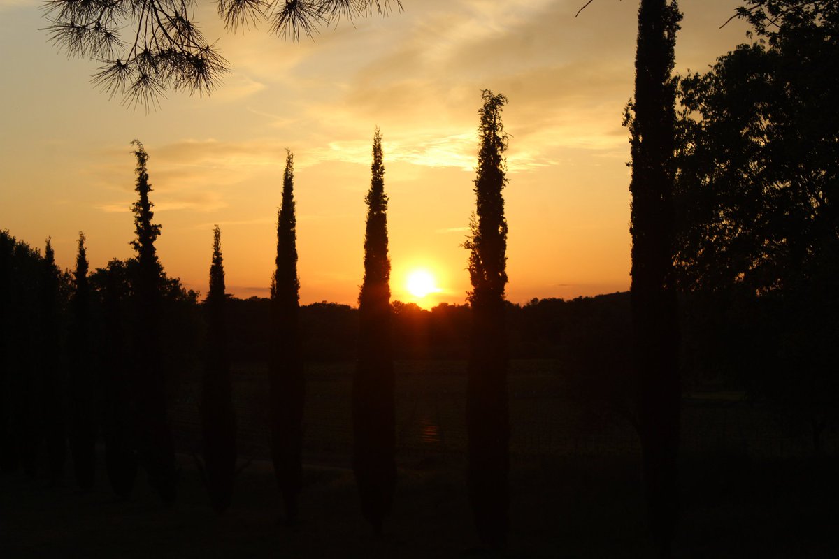 Bonjour, 
Belle semaine et  bon lundi à tous!
🖤💛🖤
L'amour n'est ni raisonnable,  ni raisonné. 
C'est une évidence,  une intuition. 
Anne Bernard 
#sunset #photography