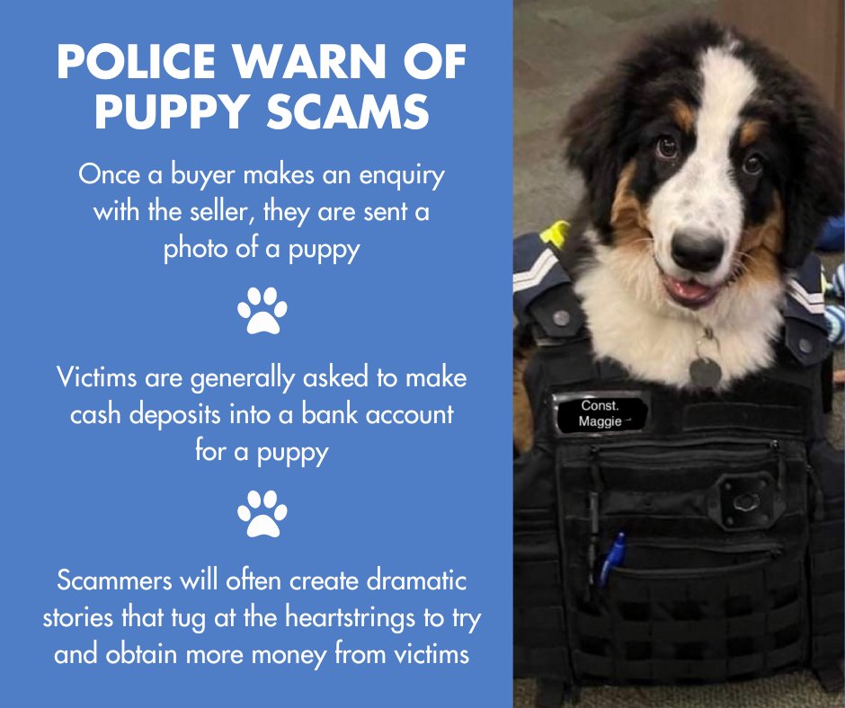 Victoria Police on Twitter "We are investigating reports from hundreds