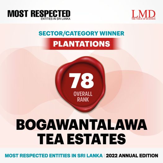 LMD_media's tweet photo. SECTOR/CATEGORY WINNERS – Sri Lanka’s Most Respected Entities for 2022
@bogawantalawa
#MostRespectedBySector #MostRespectedEntitiesInSriLanka #MostRespectedEntities #MostRespectedSriLanka #MostRespected #MostRespected2022 #SriLankanEntities #SriLankanCorporates #plantation #tea https://t.co/TvfTNmLhGP