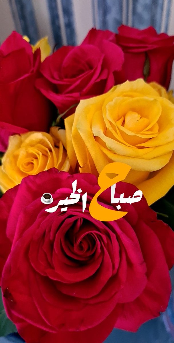 gono_kitkat's tweet photo. #صباح_الخير #صباح_الورد https://t.co/mZAzrpi7kF